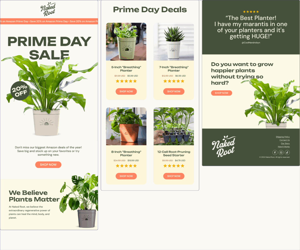 An image of an email newsletter and how AI innovations in eCommerce helped in their distribution